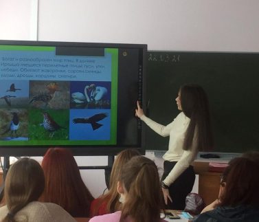 28813bba-ea03-4960-99b3-297b34fa40b0