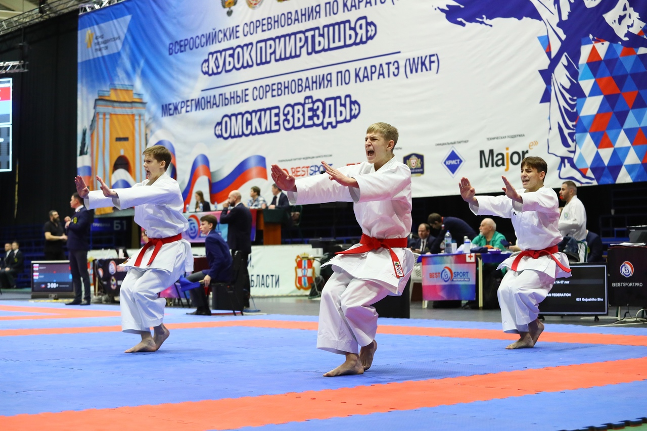 V Всероссийские соревнования по каратэ (WKF) «Кубок Прииртышья» — Сайт  педагогического колледжа №1